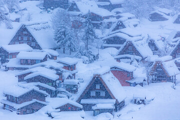 Fototapeta na wymiar ゆきんこが出てきそうな、白川郷の降雪。