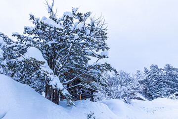 身も心も凍る豪雪の白川郷