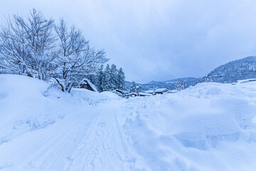 ゆきんこが出てきそうな、白川郷の降雪。