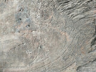 wood texture