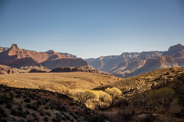 The Relativly Flat View From Plateau Point Trail In The Grand Canyon