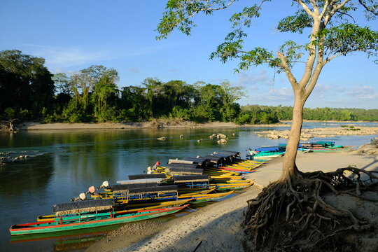 Mexico Frontera Corozal Usumacinta River - Tour to Archaeological Site of Yaxchilan