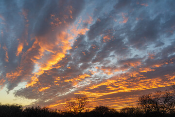 sunset in the forest