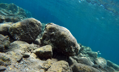 Underwater world of Mediterranean Sea. Near Marmaris, Turkey