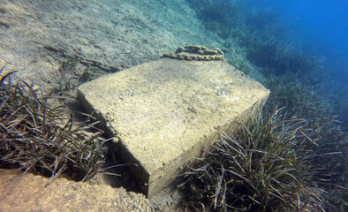 Underwater world of Mediterranean Sea. Near Marmaris, Turkey