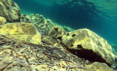 Underwater world of Mediterranean Sea. Near Marmaris, Turkey