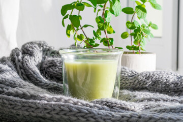 Hot green tea matcha latte on the window wrapped in a warm gray wool scarf of chunky knit. Whipped foam green tea in a glass transparent cup. atmosphere of comfort and winter hygge