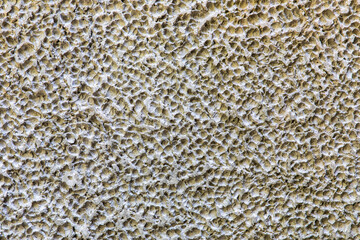 Beautiful background from old concrete wall.