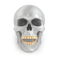 Silver skull with gold teeth. Front view.  3D rendering
