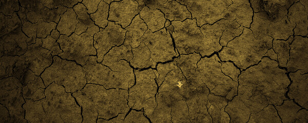 Cracked wall for background. Cracked dry ground