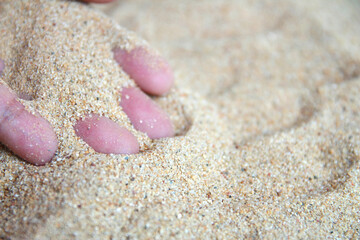 Sand texture. Sandy beach for background