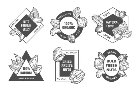 Fresh nuts logo design, vector illutration