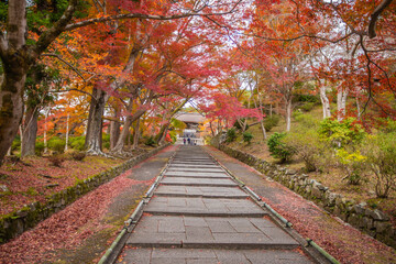 Fototapeta na wymiar 京都　 毘沙門堂の紅葉