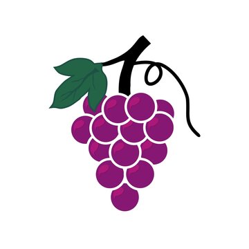 grapes icon, vector fruit illustration, nature wine. Bunch of wine grapes with leaf icon for food apps and websites.