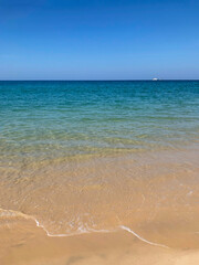 beach, palm trees and Andaman sea in Thailand on Phuket island