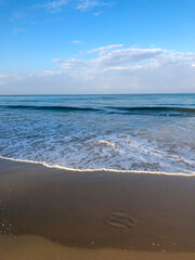 beach, palm trees and Andaman sea in Thailand on Phuket island