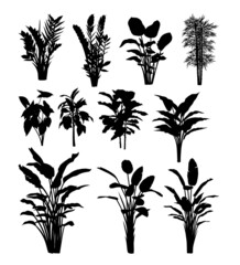 Plants botany set silhouette