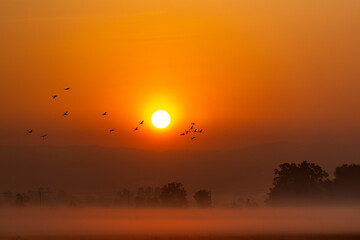 Landscape of view The scenery as the sun rises, happy new day concept.