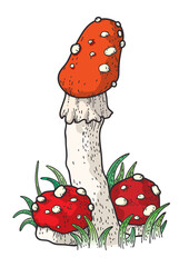 Mushroom print Humor cards Amanita muscaria Red toadstool
