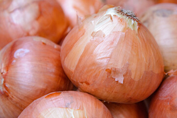 Onions used in ramen shops