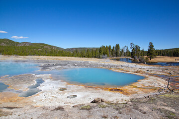 Lower geyser basin