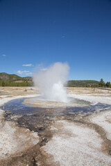 Lower geyser basin