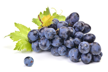 Grape fruit