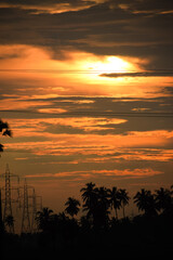 Palm trees with sunset bright sky backlight. Silhouette coconut trees near the fields. Nature landscape.