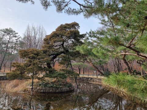 Jongmyo, an old palace in Korea