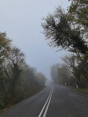Fototapeta premium road street in winter and autumn in vrosina village greece rain fog