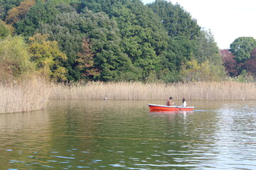 手漕ぎボート デート 昭和記念公園
