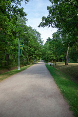 Alley in the Central Park of Culture and Leisure Dubki city of Sestroretsk, St. Petersburg
