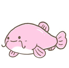 R:もっとメルヘンな水族館☆ナマズ③