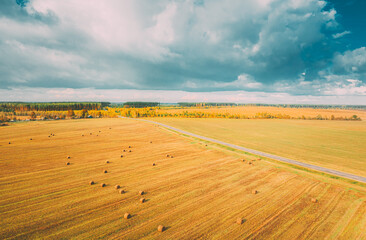 Fototapeta na wymiar Aerial View Of Autumn Hay Rolls Straw Field Landscape. Haystacks, Hay Rolls. Harvest Season