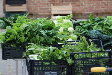 fruit and vegetable counter at the local market