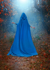 Silhouette fantasy woman in medieval cloak, cape, hood on head. Lady queen walks along path in forest. Blue long vintage clothing. Autumn mystery nature trees orange leaves magic fog. Back rear view