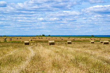 a field with straw bales