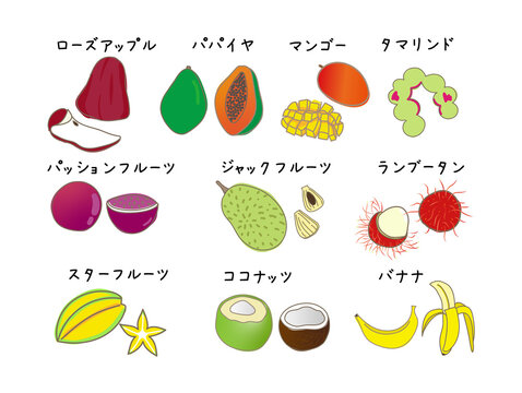 ジャックフルーツ Images Browse 41 Stock Photos Vectors And Video Adobe Stock