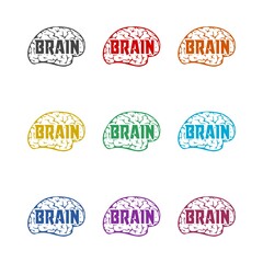 Obraz premium Brain word icon isolated on white background, color set