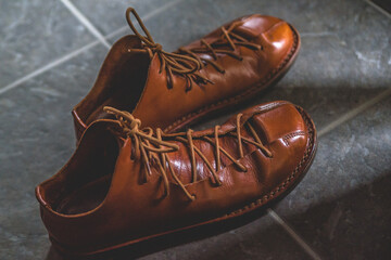 I took care of my precious leather shoes.