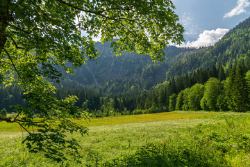 Study Trail Hochmoor Leckermoos in Lower Austria