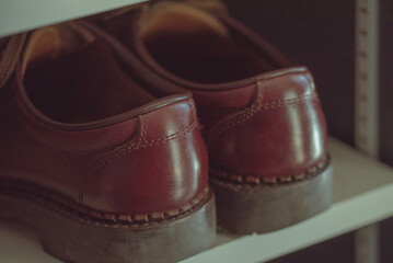 I took care of my precious leather shoes.