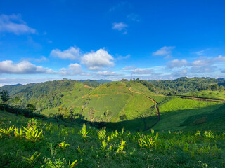 Blue sky with green moutain lanscape, beautiful landscape wallpaper
