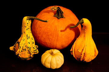 orange colorful pumpkins on the table.