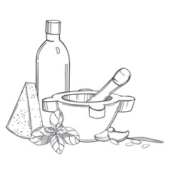 Pesto sauce. Sketch illustration