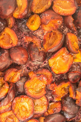 Close-up of fermented plums for the production of real homemade plum brandy. Typically Czech fruit distillate spirit drink. Preparation of quality ferment.