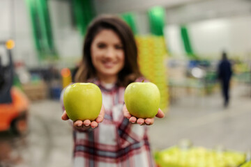 Female hands hold two fresh and ripe apples on the back of a warehouse with copy space. A day for vitamins and healthy and fresh food, organic fruits and vegetables, be strong and healthy