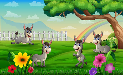 Four donkeys playing in the meadow on a rainbow background © dreamblack46