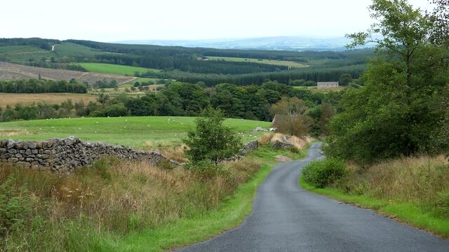 Car point of view, POV driving down the hill single lane rural road in scenic countryside of Lancashire, England, United Kingdom. Small animal killed on the road by accident.