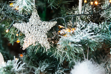 Christal Star on Christmas tree